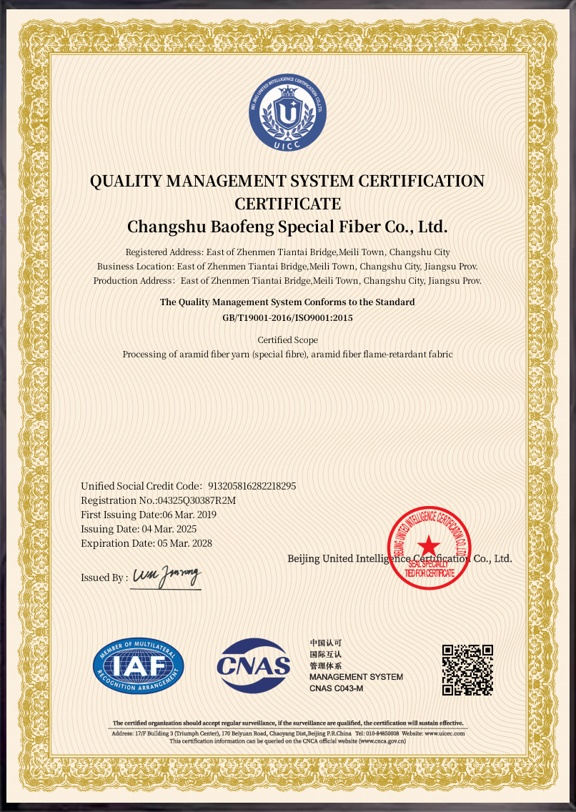 ISO900120250612